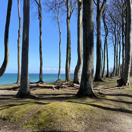 Residenz Strandstrasse 14 16 * Kuehlungsborn