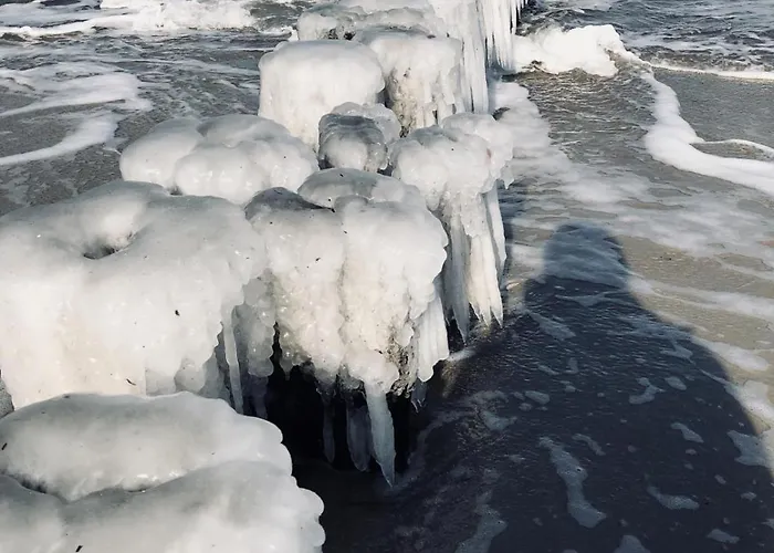 Residenz Strandstrasse 14 16 Apartment Kuehlungsborn